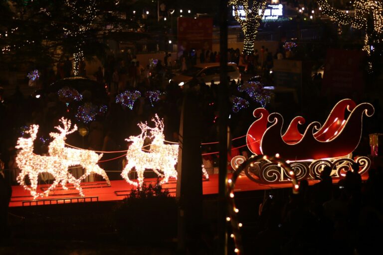 Illuminated reindeer and sleigh display at a nighttime holiday parade